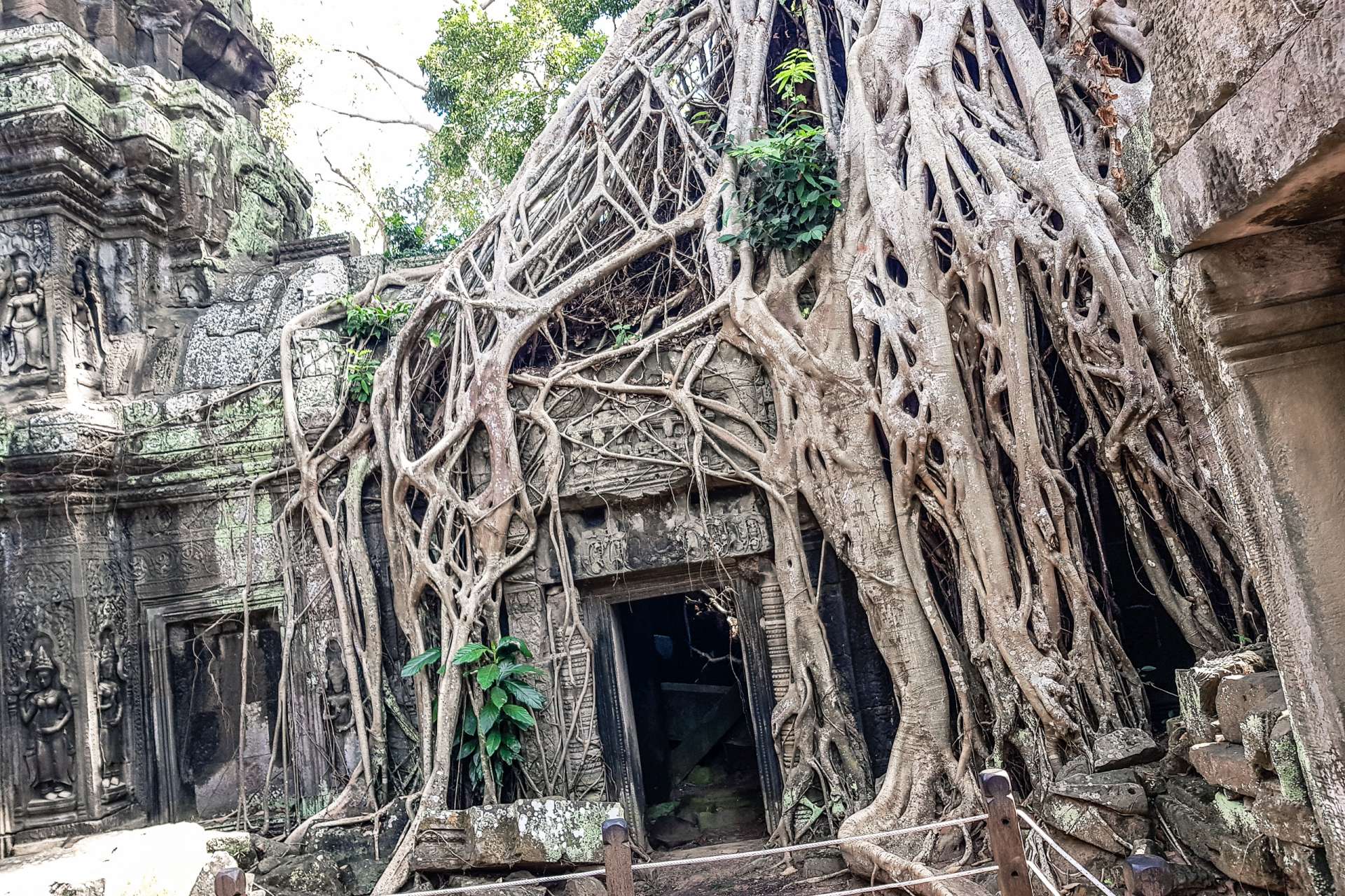 Cambodia Angkor Wat Lara Croft