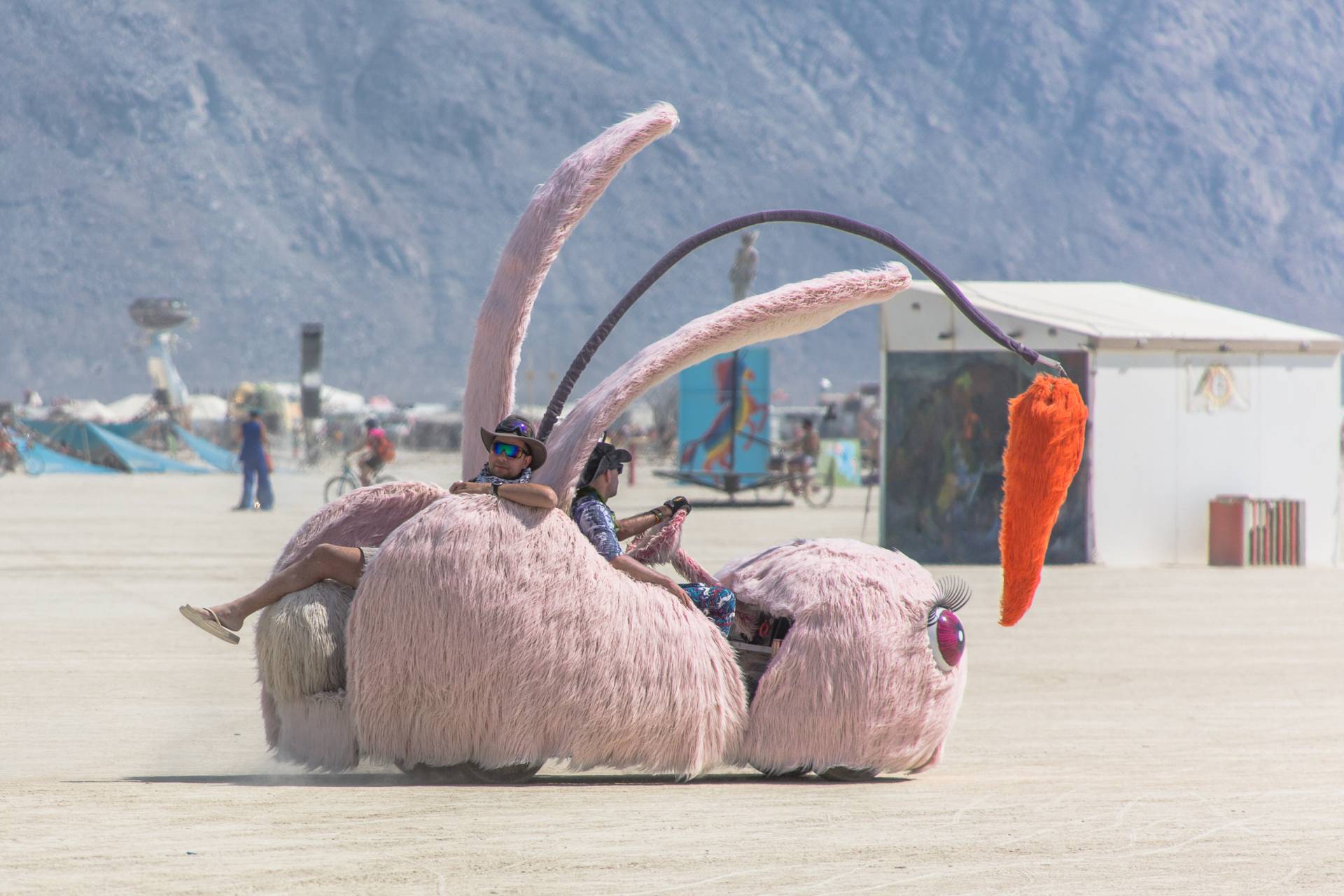 Burning Man 2018 Rabbit