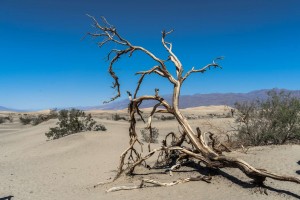 USA Death Valley National park