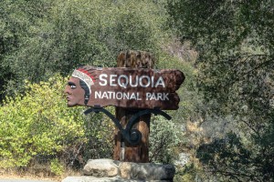 USA Sequoia National Park